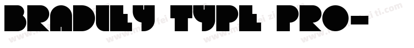 Bradley Type Pro字体转换